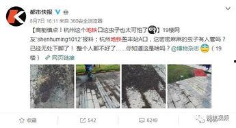 小黑视频爆料,揭秘娱乐圈惊人内幕  第3张